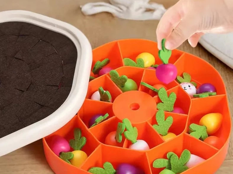 Jeu éducatif Montessori champ de carottes