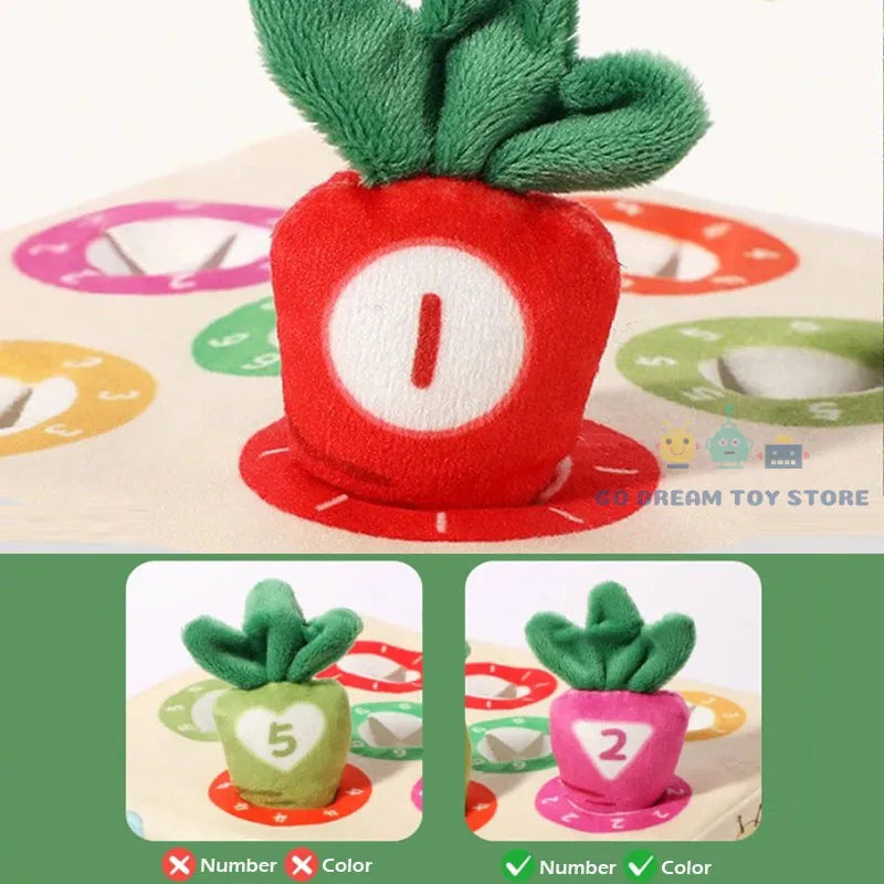 Raccogliamo le Carote Gioco Morbido Montessori per Bambini