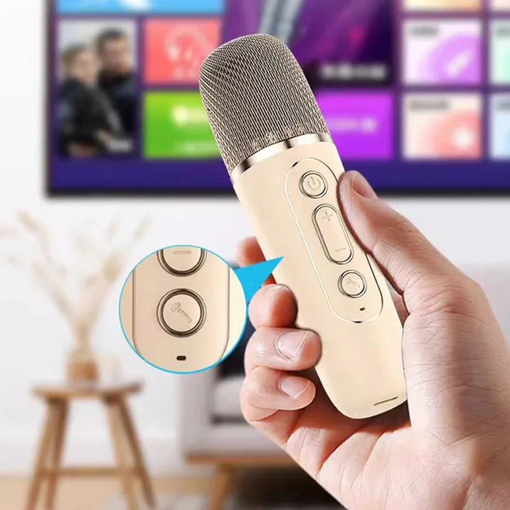 Mini Karaoke per Bambini e Adulti Bluetooth 1 o 2 Microfoni
