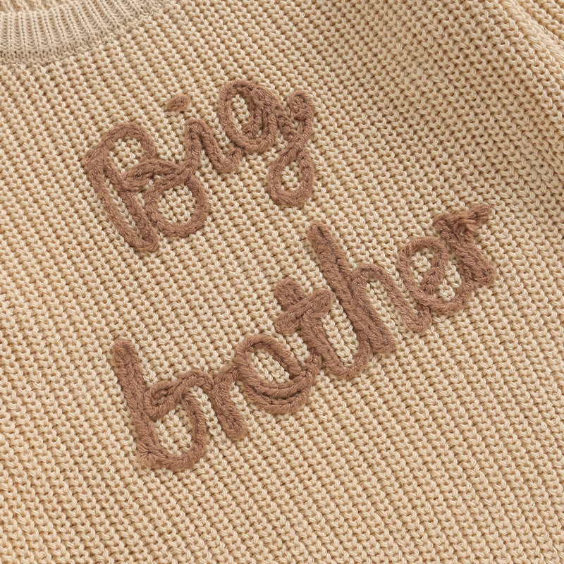 Maglione in misto cotone con ricamo Big Brother multivariante