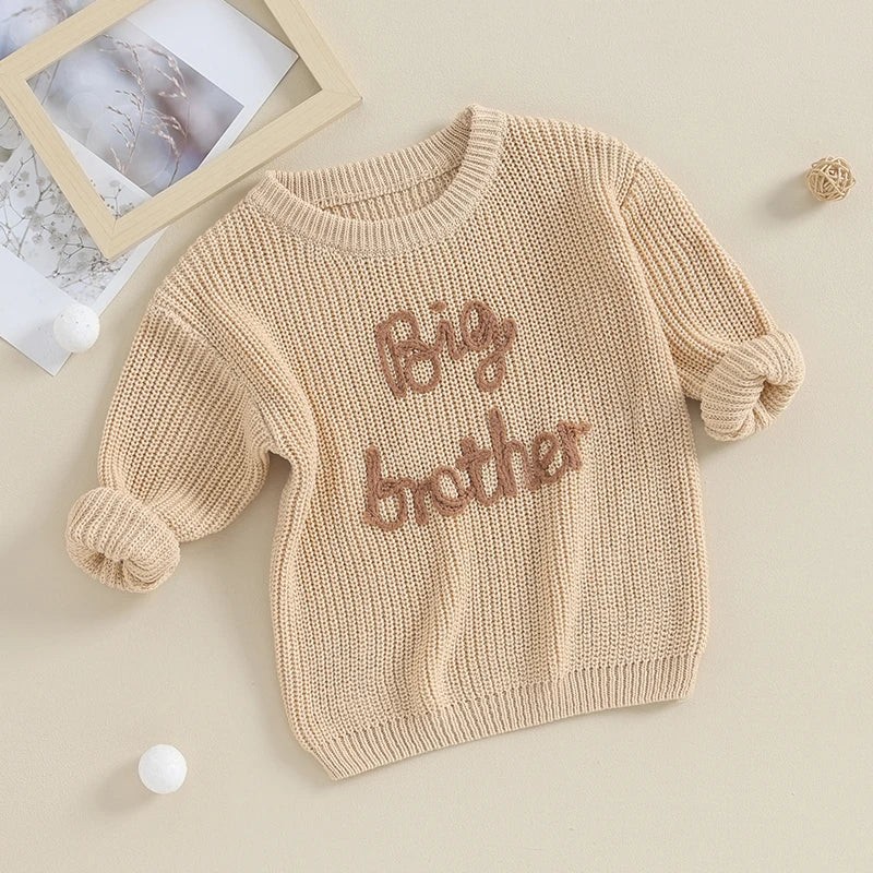 Maglione in misto cotone con ricamo Big Brother multivariante